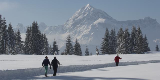 Ski de fond - Mont Lachat