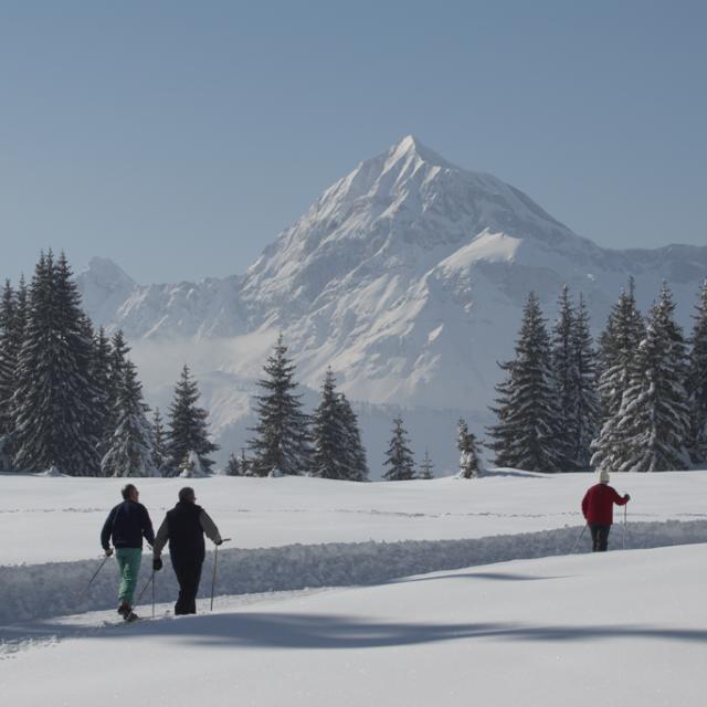 Ski de fond - Mont Lachat