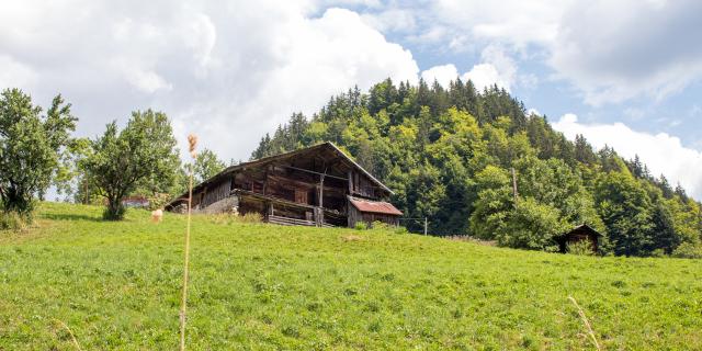 Ferme de l'Abbaye à La Giettaz en Aravis