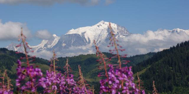 Randonnée sur la route des Montagnes, face au Mont-Blanc