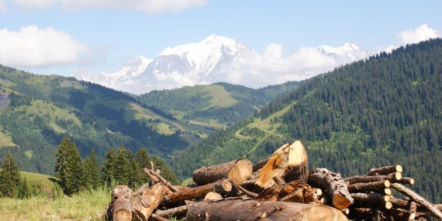 Randonnée sur la route des Montagnes, face au Mont-Blanc à, La Giettaz en Aravis