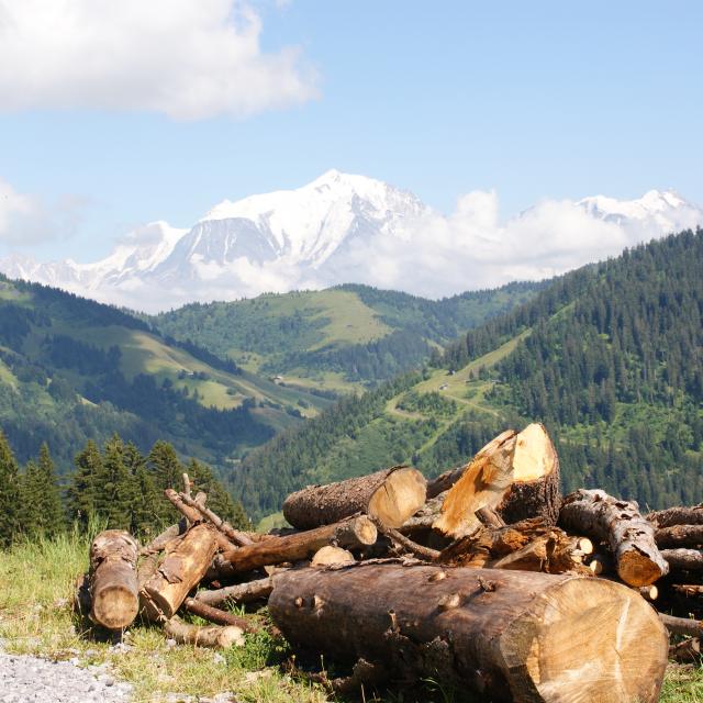 Randonnée sur la route des Montagnes, face au Mont-Blanc à, La Giettaz en Aravis