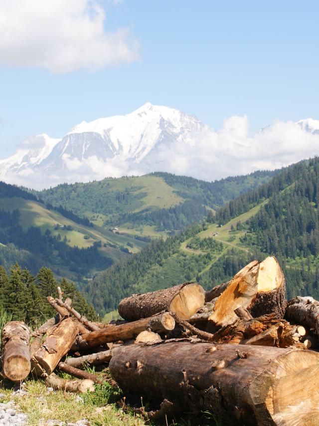 Route Des Montagnes Tas de bois