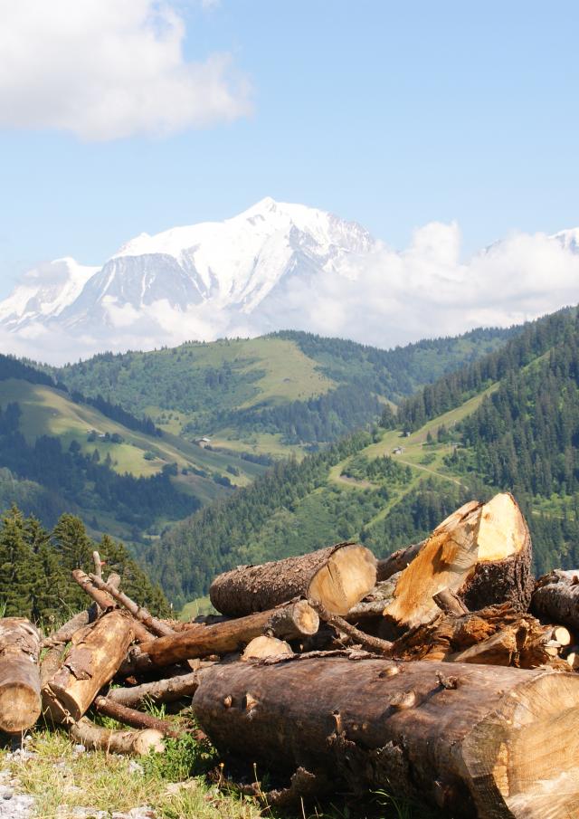 Randonnée sur la route des Montagnes, face au Mont-Blanc à, La Giettaz en Aravis