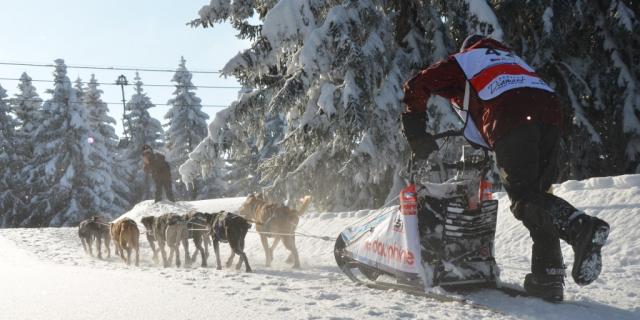 La Grande odyssée Savoie Mont-Blanc dans le Val d'Arly