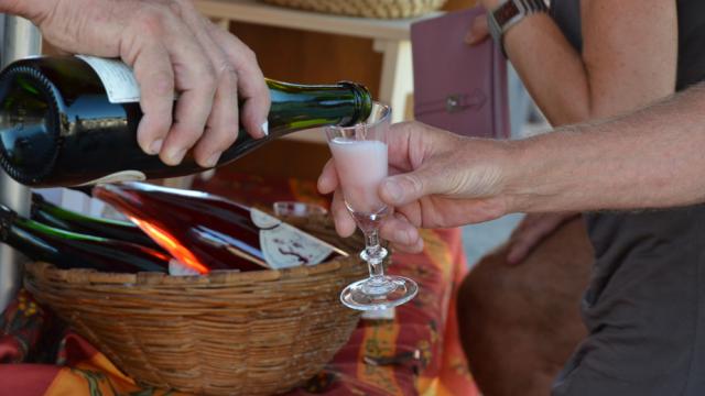 Festival des Vins