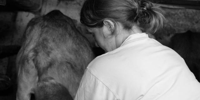 Celine Arvin Berod - Ferme au Bonheur des Fromages