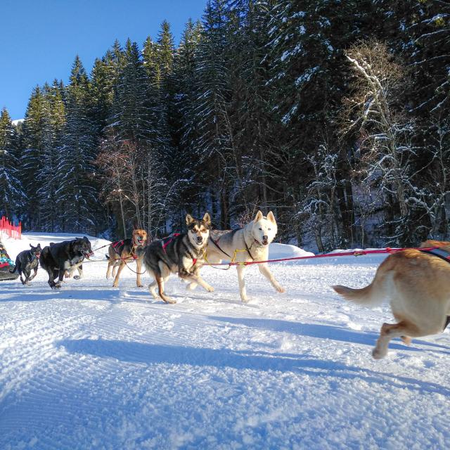 ©Office de Tourisme du Val d'Arly