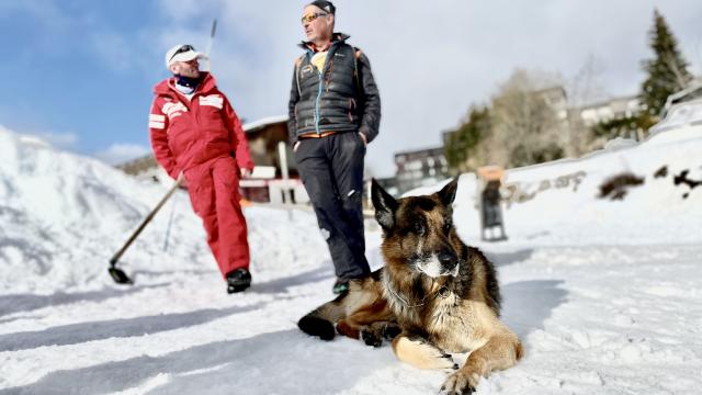 Rencontre avec un maître chien à Notre Dame de Bellecombe