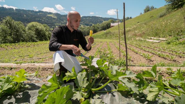 Le Toi Du Monde Jardin