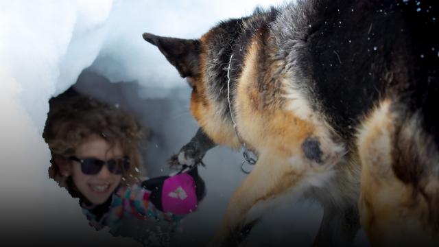 Rencontre avec un maître chien à Notre Dame de Bellecombe