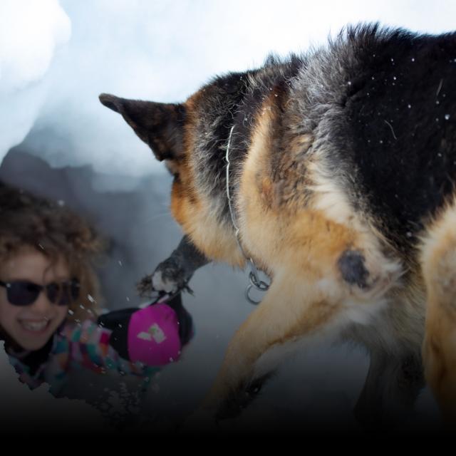 Rencontre avec un maître chien à Notre Dame de Bellecombe