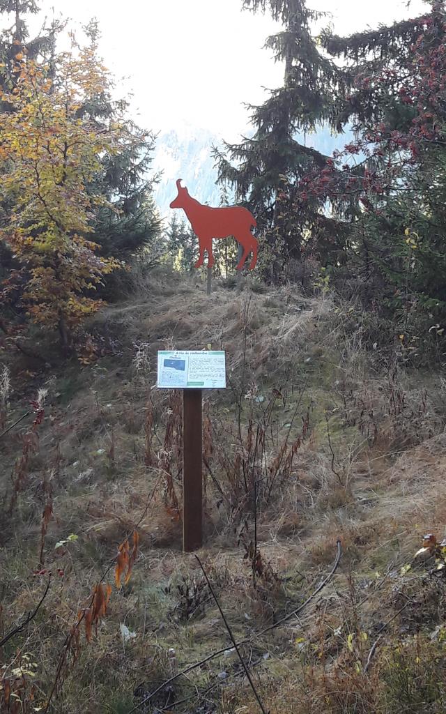 parcours-animalier-chamois.jpg