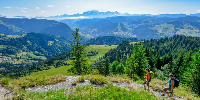 Val d'Arly en été. Savoie. France.