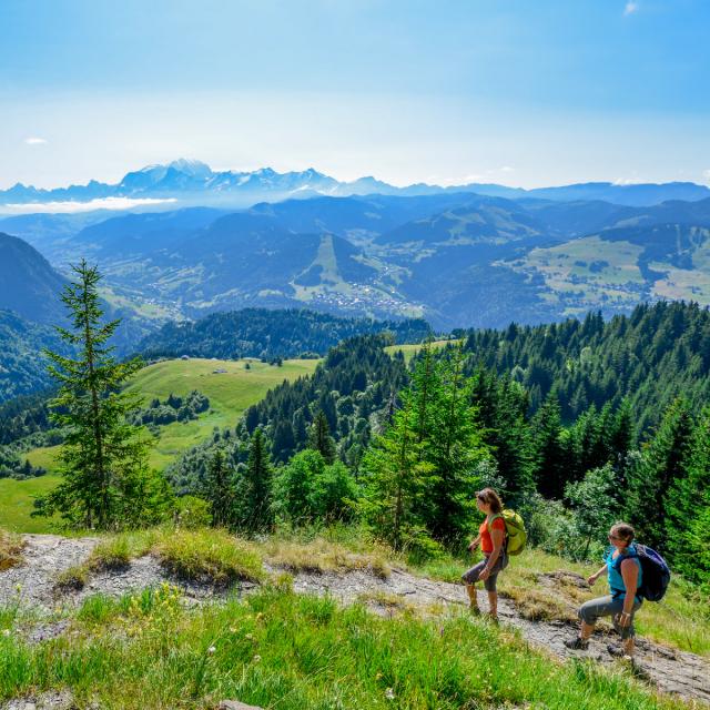 Val d'Arly en été. Savoie. France.