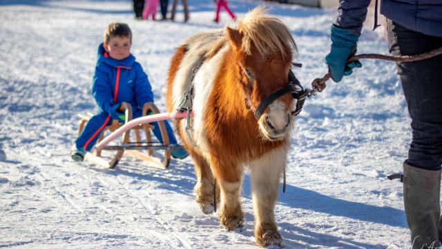 Poney Luge à Notre Dame de Bellecombe