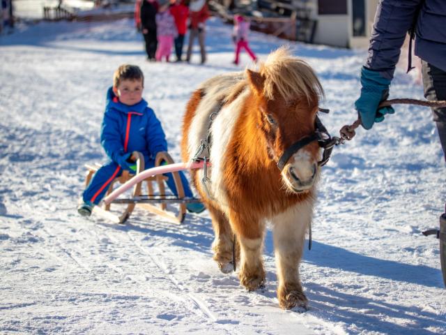 Poney Luge à Notre Dame de Bellecombe