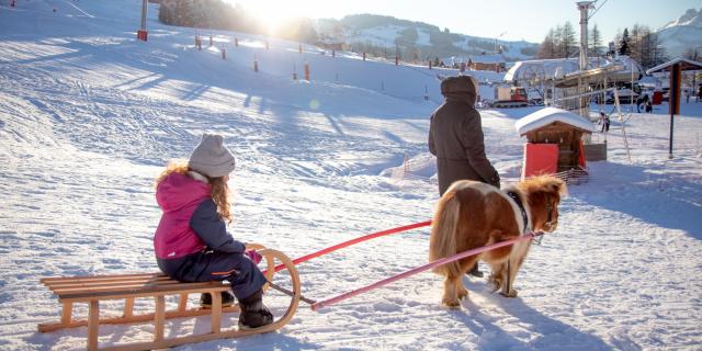 Descente en poney luge