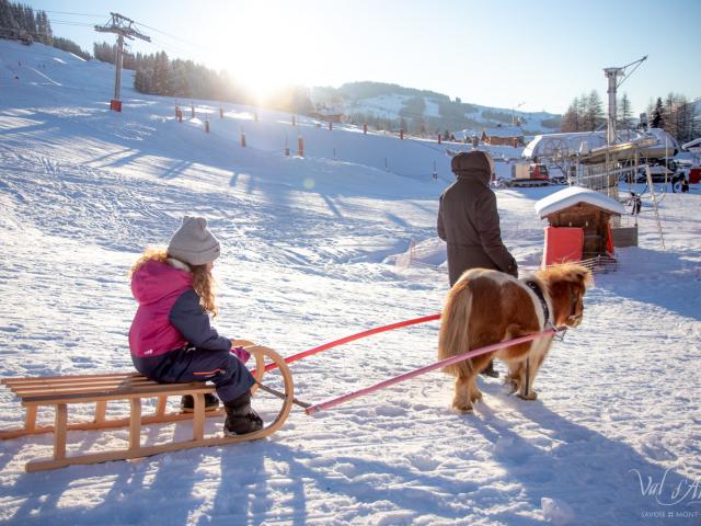 Descente en poney luge