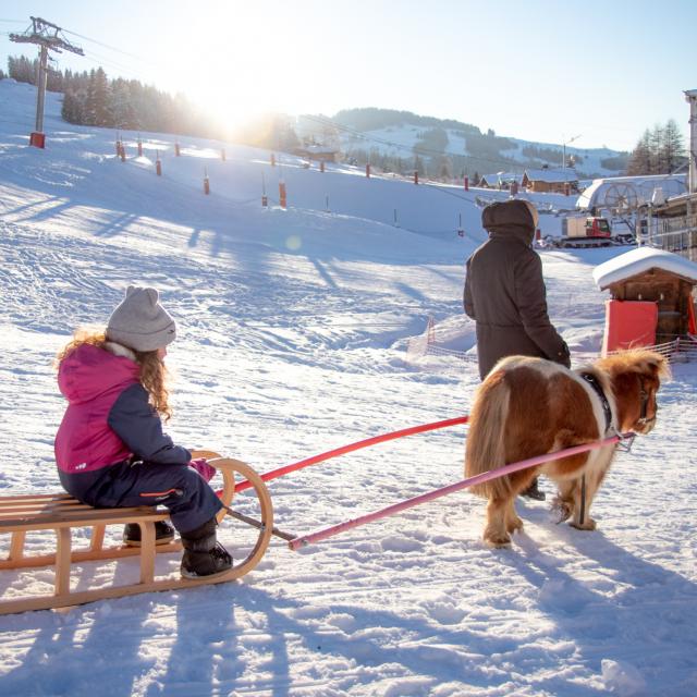 Descente en poney luge