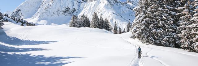 Randonnées Raquettes dans le Val d'Arly