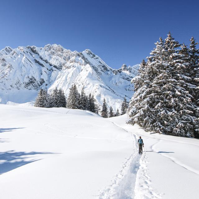 col-des-aravis-chalets-du-cure-sarah-conte-ses-aventures-79-copie.jpg