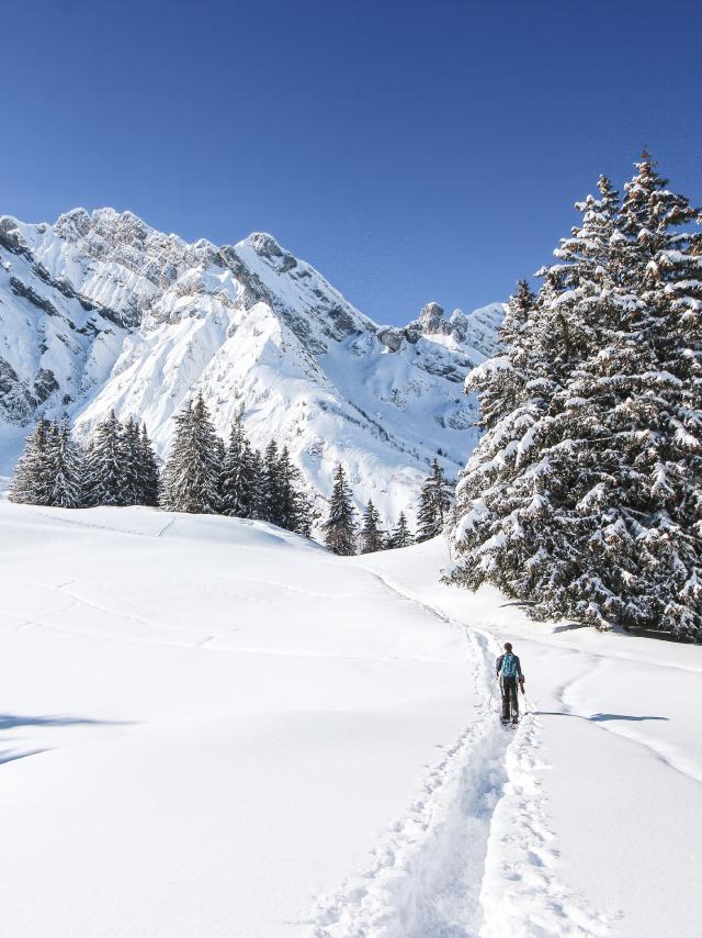 col-des-aravis-chalets-du-cure-sarah-conte-ses-aventures-79-copie.jpg