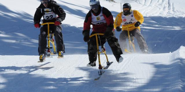 Course de Skibob