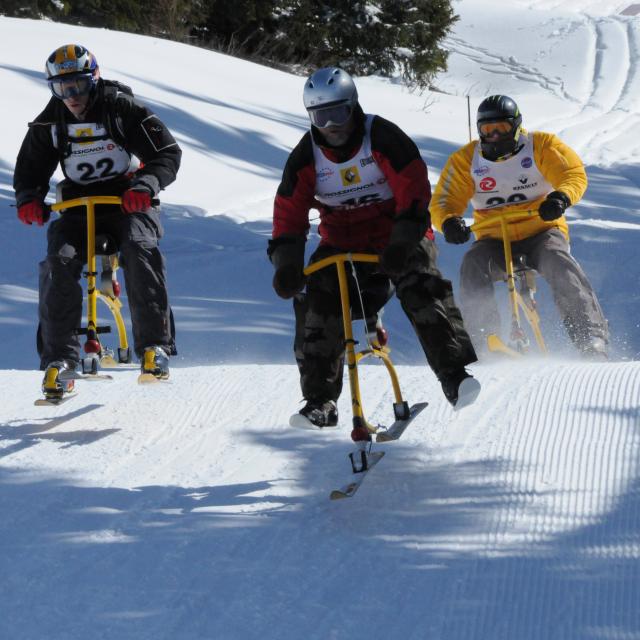 Course de Skibob