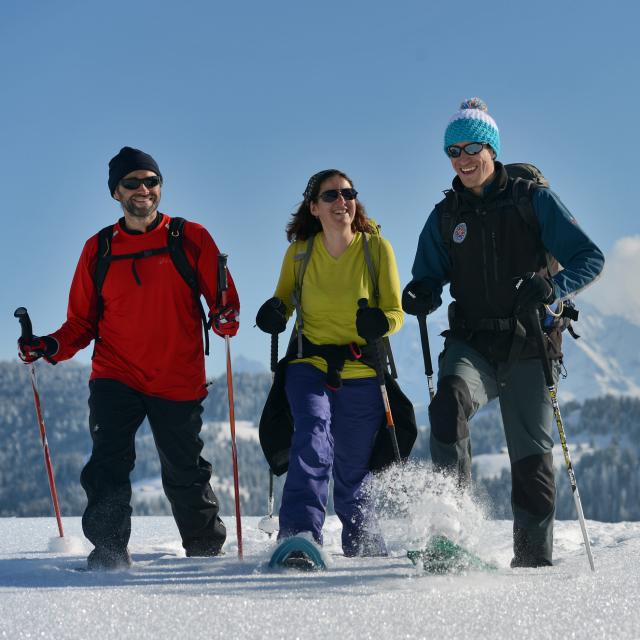 Raquettes Face Au Mont Blanc