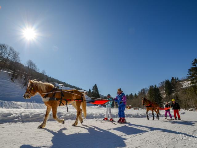 Ski Joering à Flumet St Nicolas la Chapelle