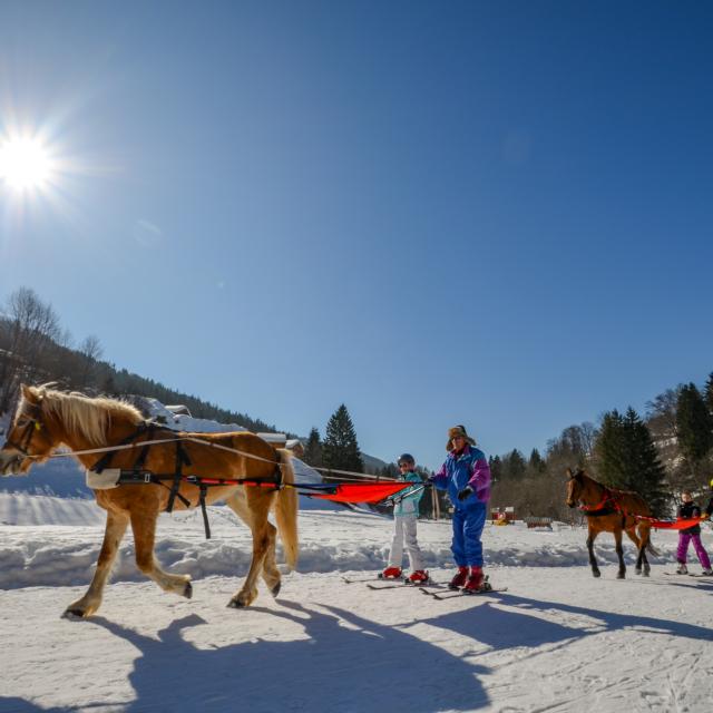 Ski Joering à Flumet St Nicolas la Chapelle