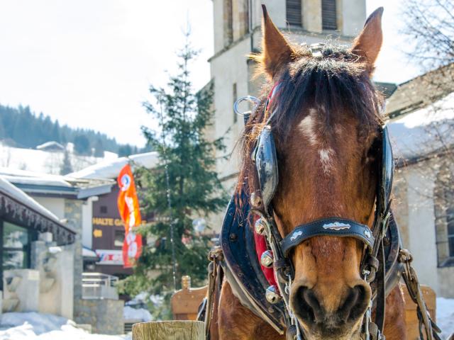 Traîneau à Cheval aux alentours du Val d'Arly