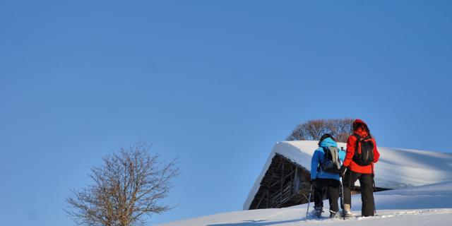 Montée en raquettes