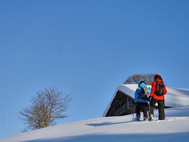 Montée en raquettes