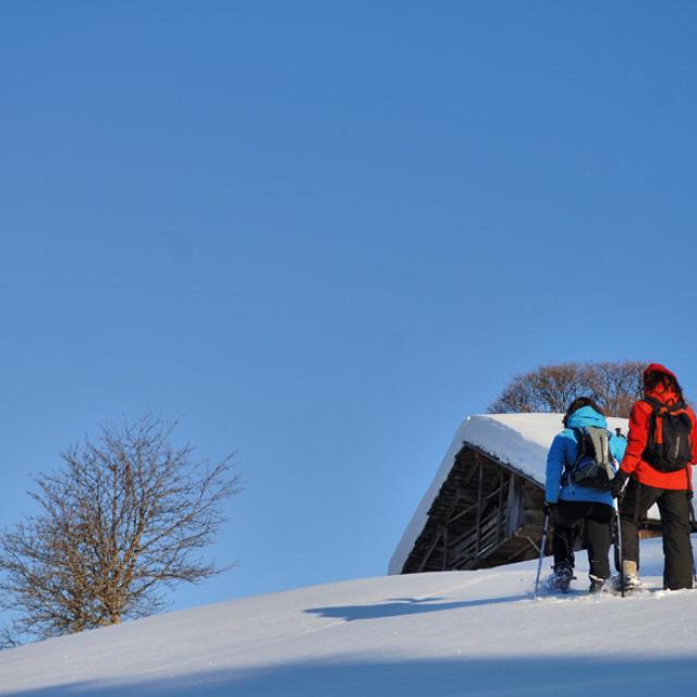 Montée en raquettes