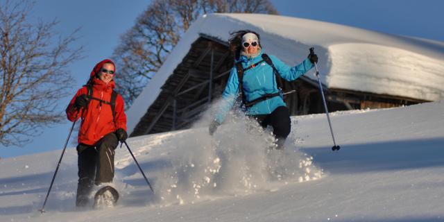 Descente dans la poudreuse en raquettes