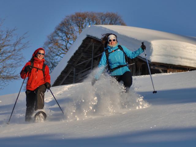 Descente dans la poudreuse en raquettes