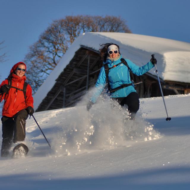 Descente dans la poudreuse en raquettes