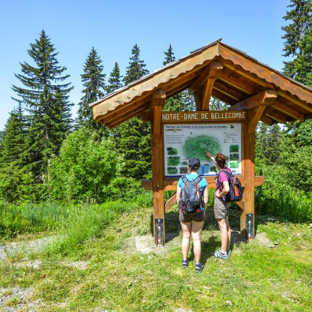 Sentier thématique de Covetan à Notre Dame de Bellecombe