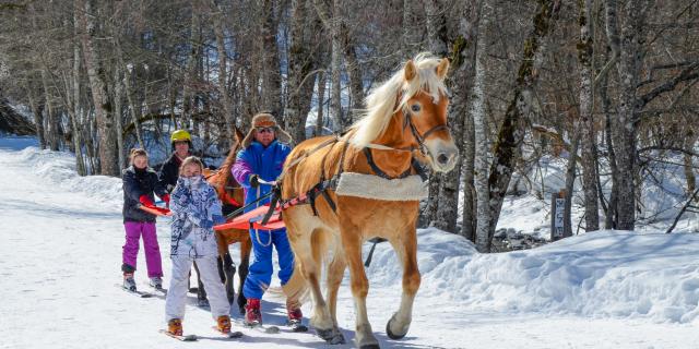 Ski-joëring à Flumet / St Nicolas la Chapelle