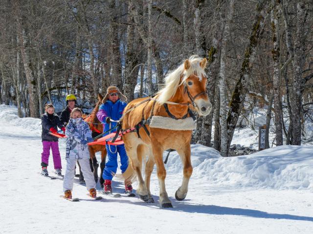 Ski-joëring à Flumet / St Nicolas la Chapelle