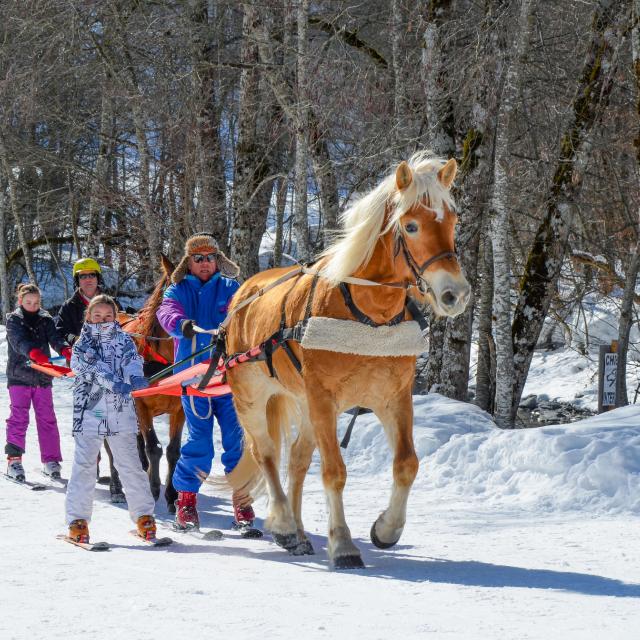 Ski-joëring à Flumet / St Nicolas la Chapelle