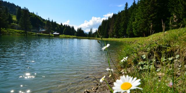 Lac du Plan Désert à Notre Dame de Bellecombe