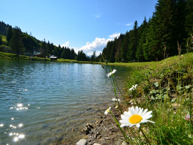 Lac du Plan Désert à Notre Dame de Bellecombe