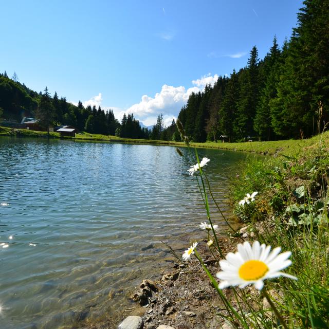 Lac du Plan Désert à Notre Dame de Bellecombe