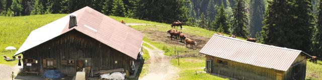 Refuge du Plan de L'Aar à Praz sur Arly