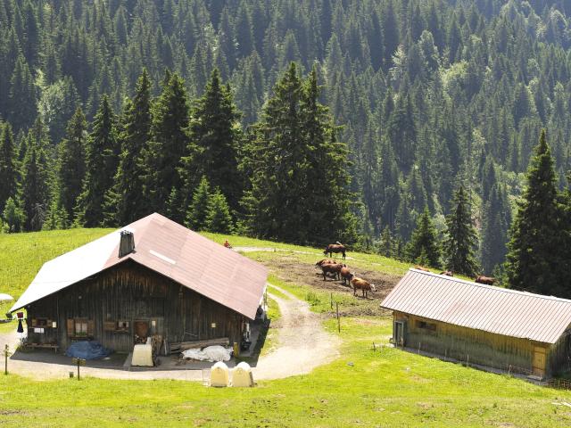 Refuge du Plan de L'Aar à Praz sur Arly