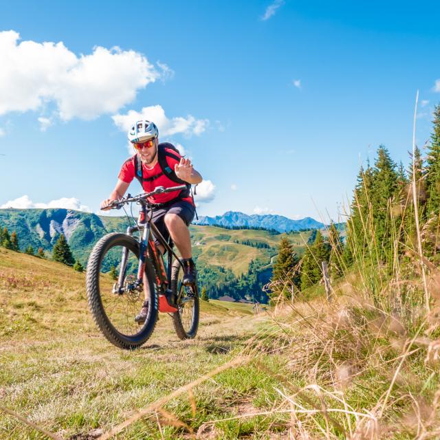 Tour du Val d'Arly en VTT à assistance électrique