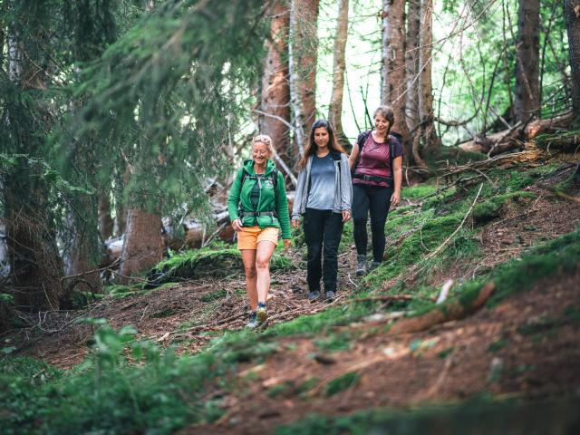 Randonnées accompagnées dans le Val d'Arly